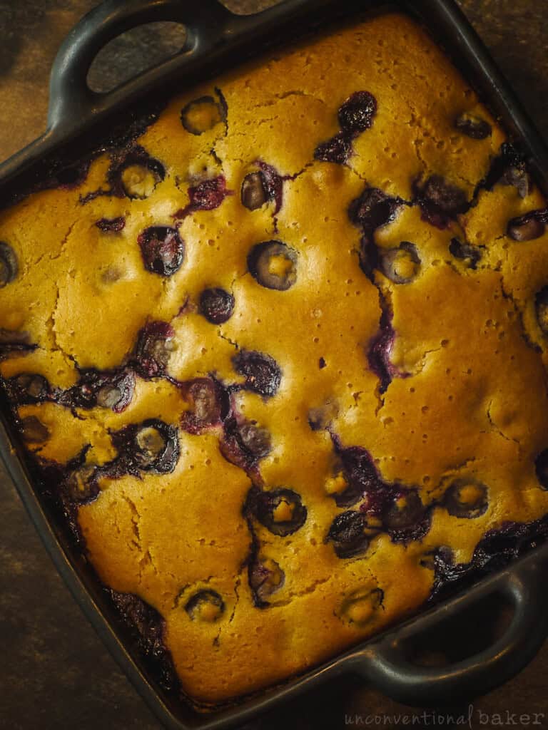 Blueberry Cake (Vegan, Gluten-Free, Oil-Free, Refined Sugar-Free)